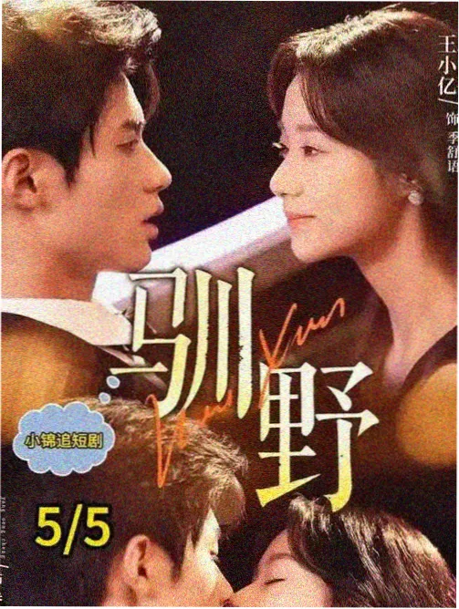剧集市场趋势 配图
